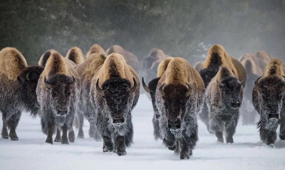 衡欣仪器仪表有限公司轮播图5